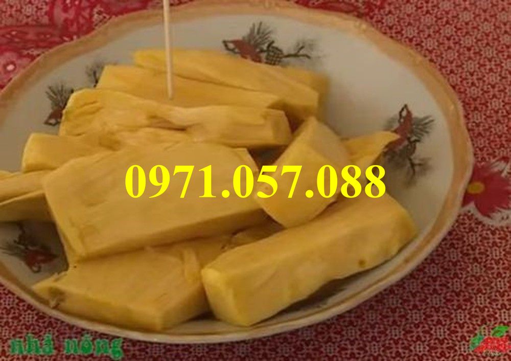 GIỐNG CÂY MÍT KHÔNG HẠT